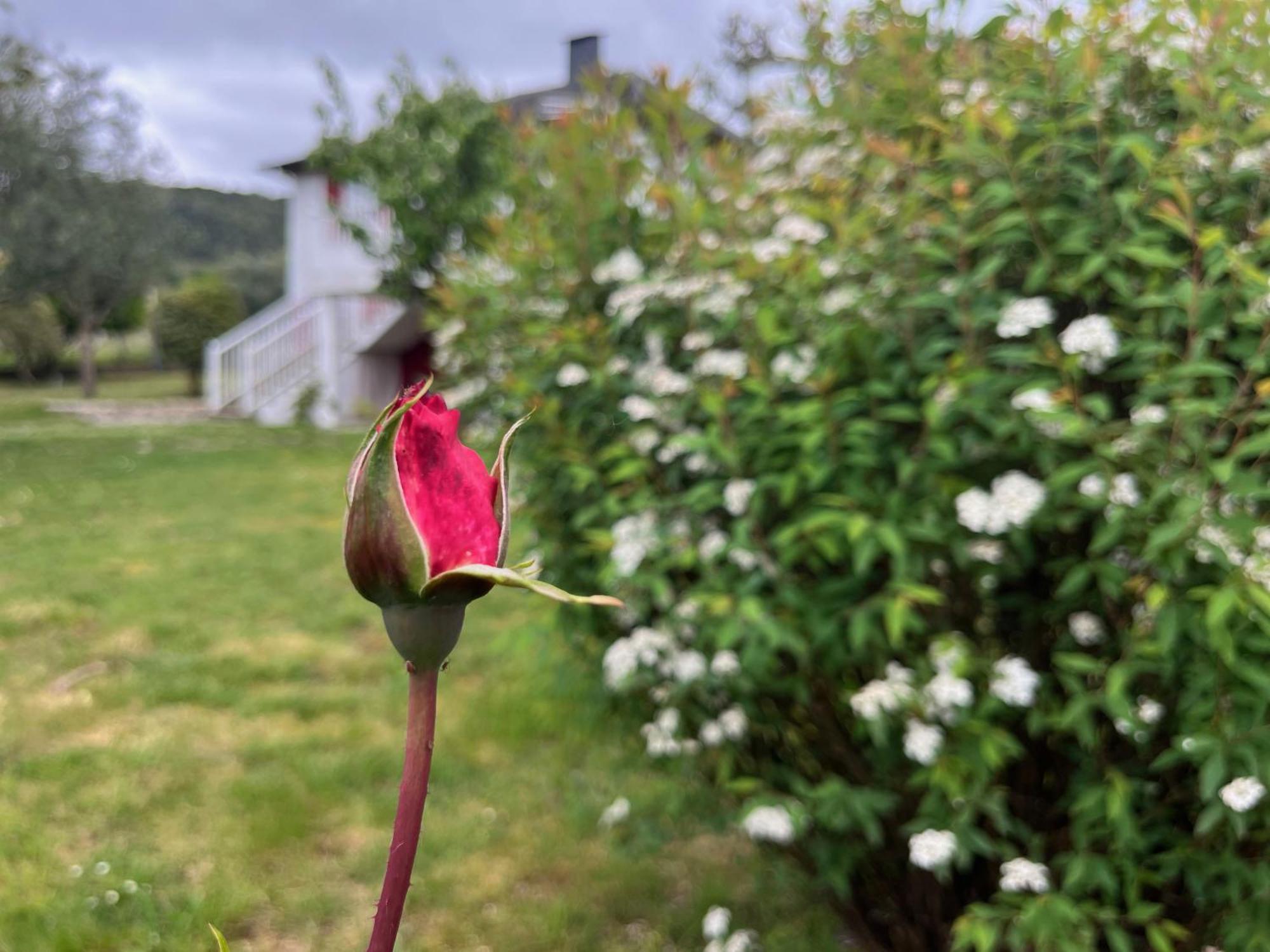 A Casina Casa Rural En Galicia Ourense Exteriör bild