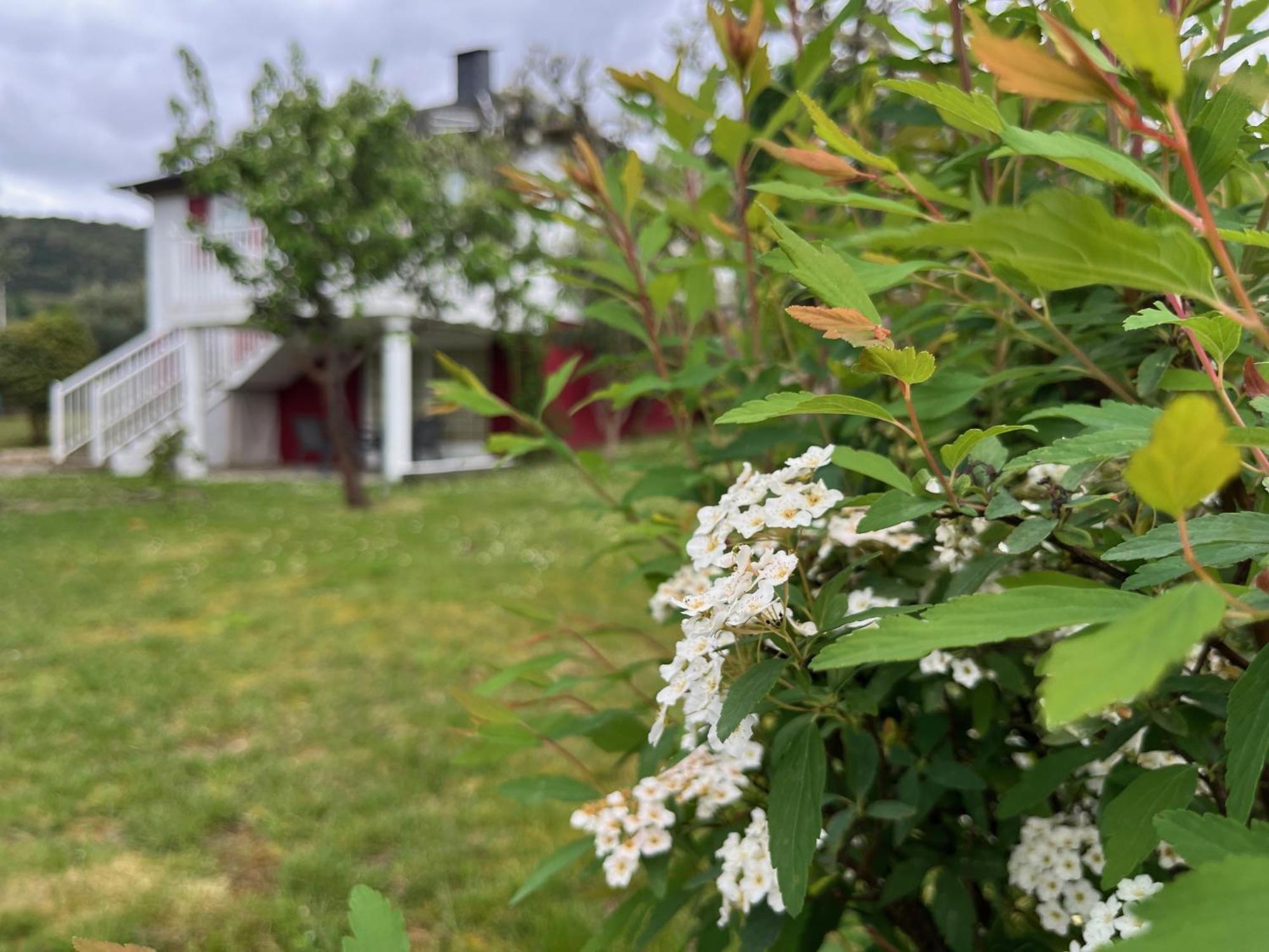 A Casina Casa Rural En Galicia Ourense Exteriör bild